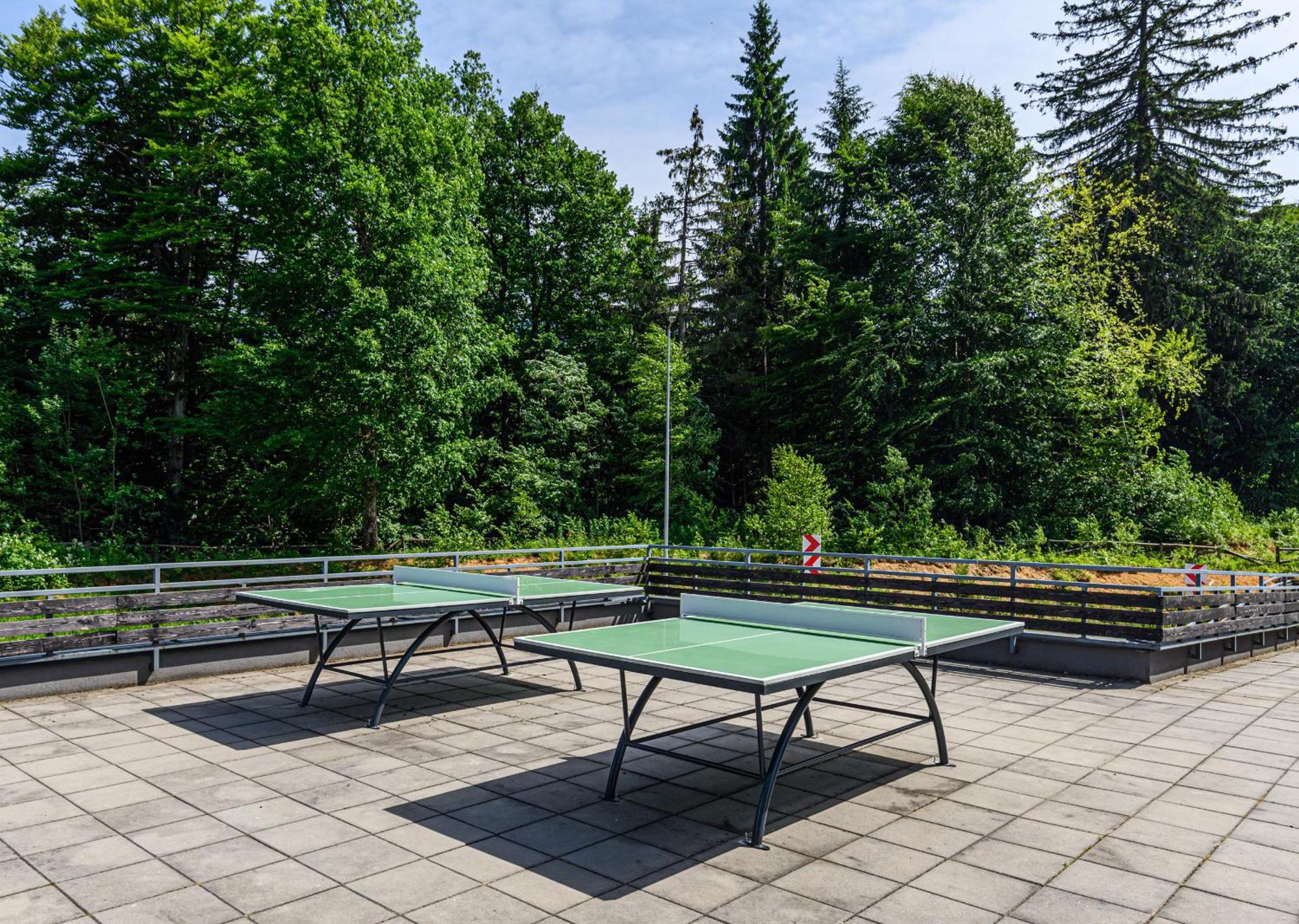 Apartment "Mountain Relax" Пояна-Брашов Экстерьер фото