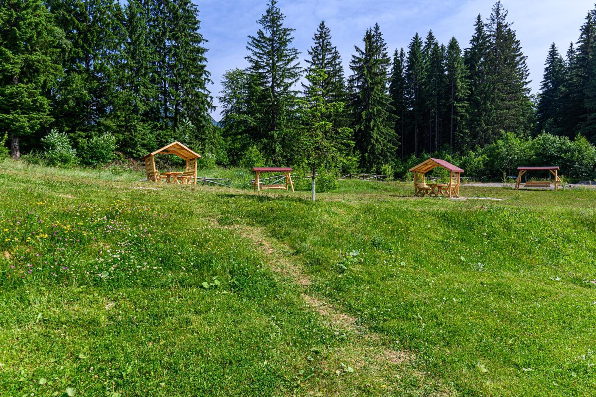 Apartment "Mountain Relax" Пояна-Брашов Экстерьер фото